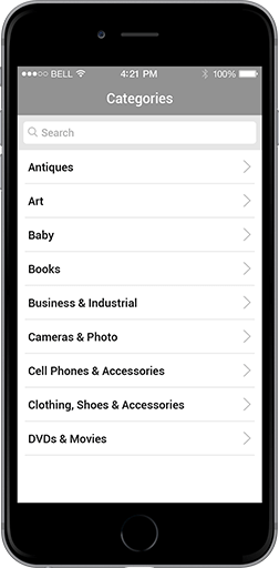 businnes category and sub category management